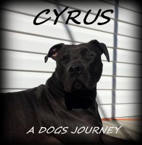 Cyrus1